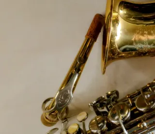 Sax contralto Ida Maria Grassi Professional