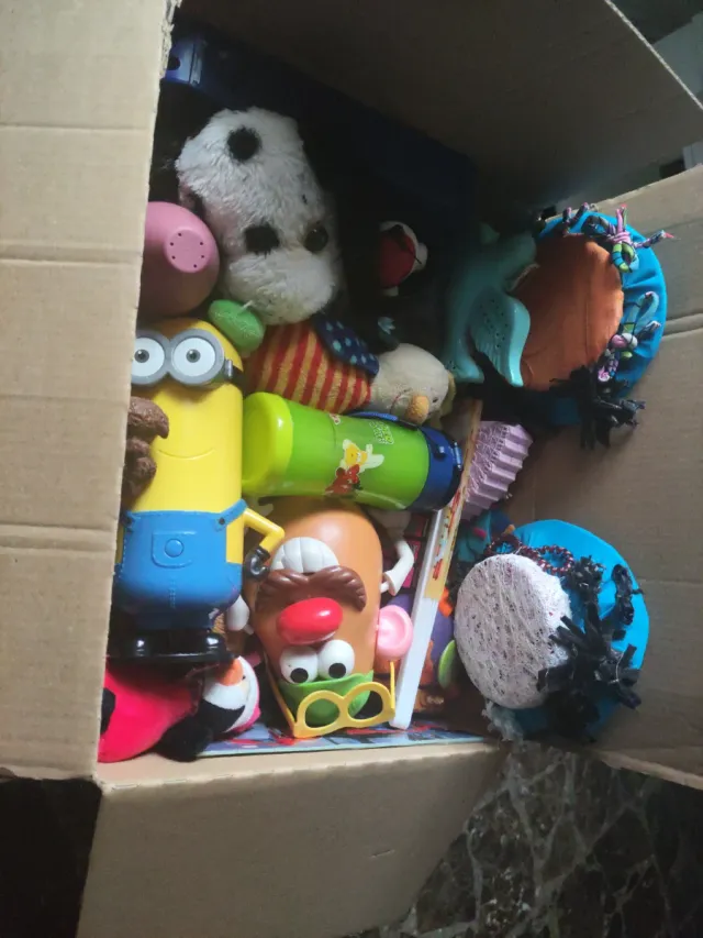 Caja Sorpresa Juguetes Varios