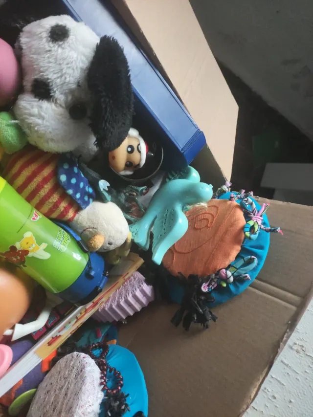 Caja Sorpresa Juguetes Varios