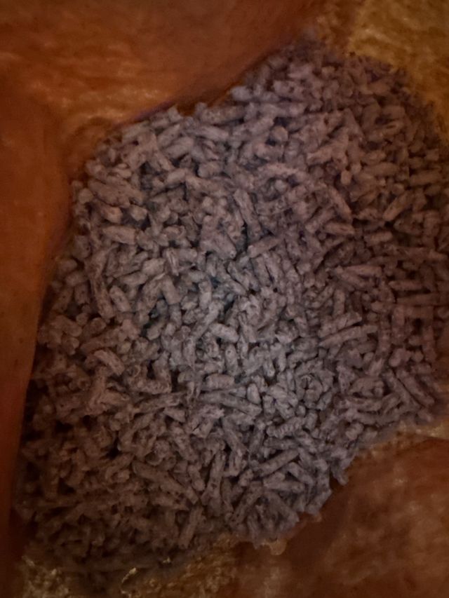 Jaula Hámster 3 Pisos + Accesorios