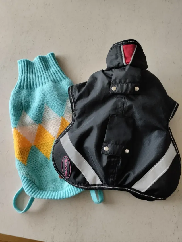 Abrigo impermeable y jersey perro