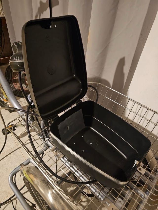 Bicicleta Eléctrica Triciclo con Cestas