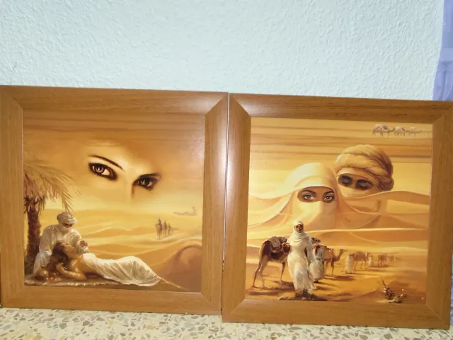 Cuadros Decorativos Desierto