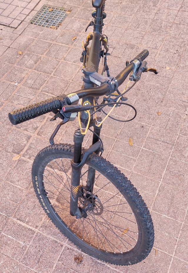 bici 29 pollici 27 rapporti freni a disco tenuta b