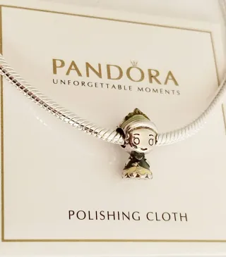 Charm Princesa Tiana de Disney