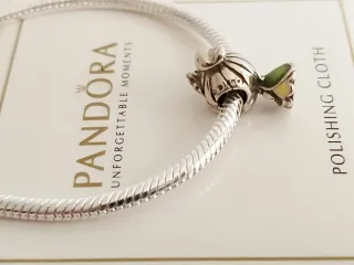 Charm Princesa Tiana de Disney