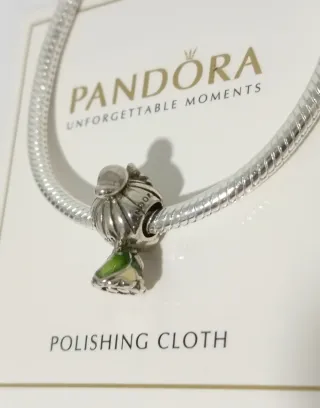 Charm Princesa Tiana de Disney