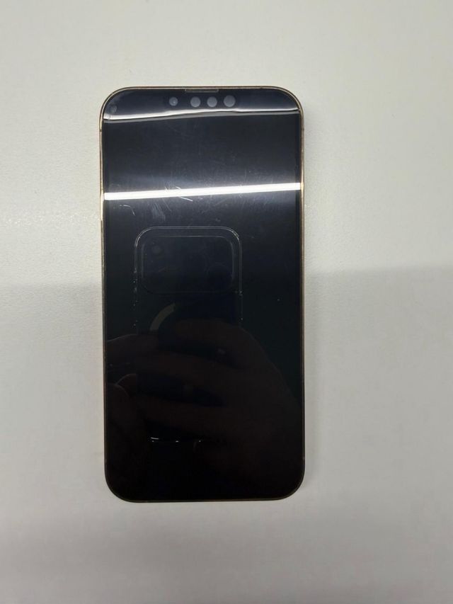 iPhone 13 Pro 256GB Oro