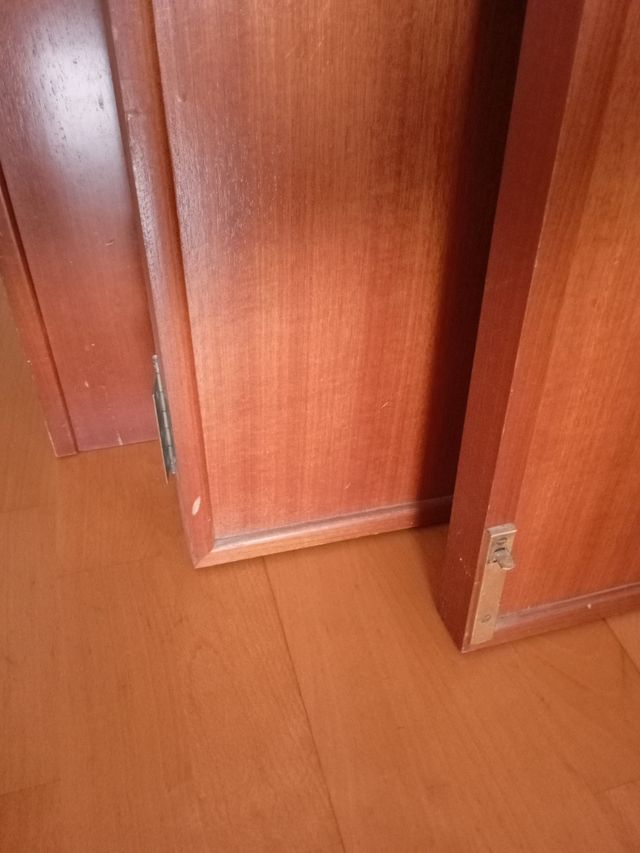 Puertas de armario de madera