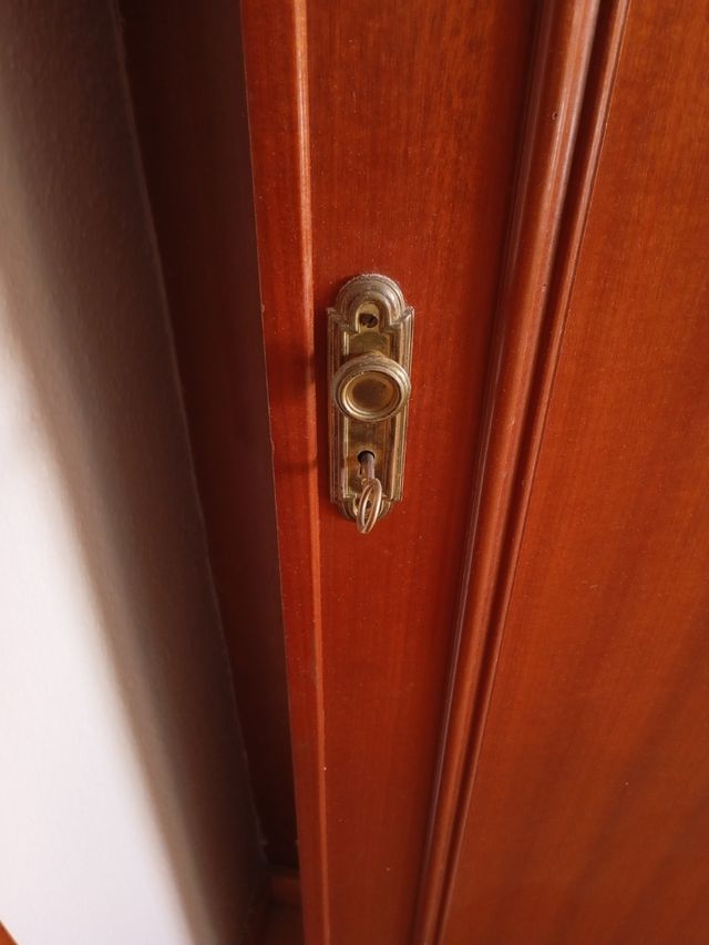 Puertas de armario de madera