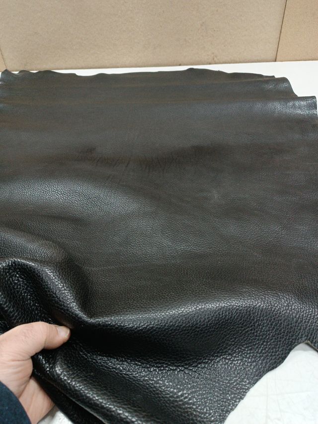 Cuello de búfalo negro