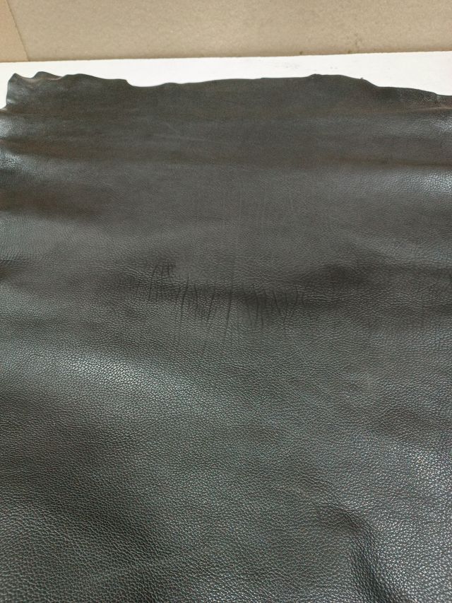 Cuello de búfalo negro