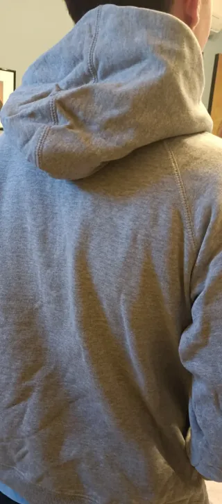 Felpa Leone vintage grigia