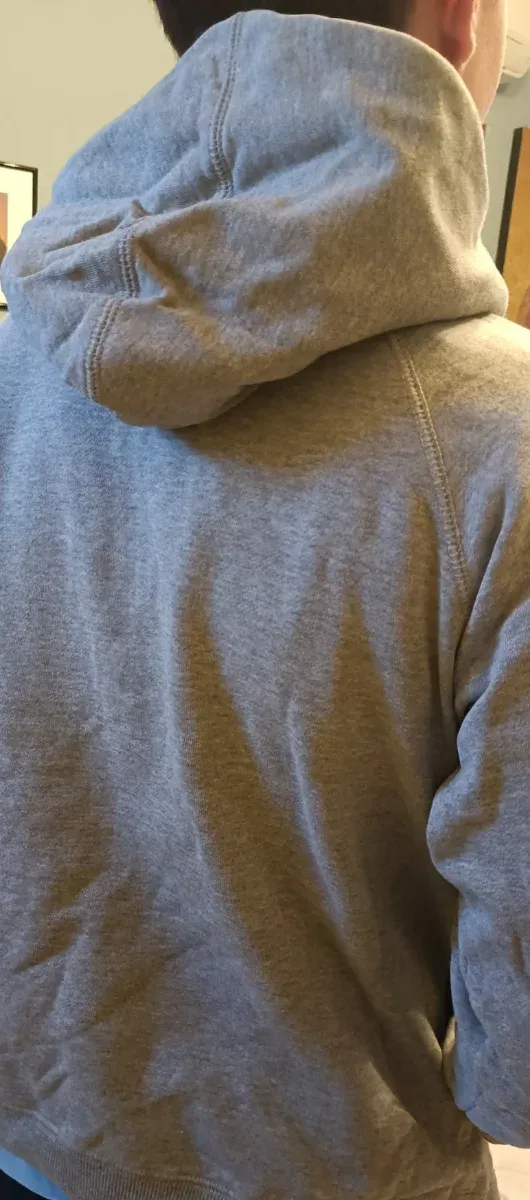 Felpa Leone vintage grigia