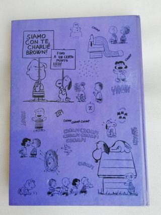 Fumetto Siamo con te, Charlie Brown!