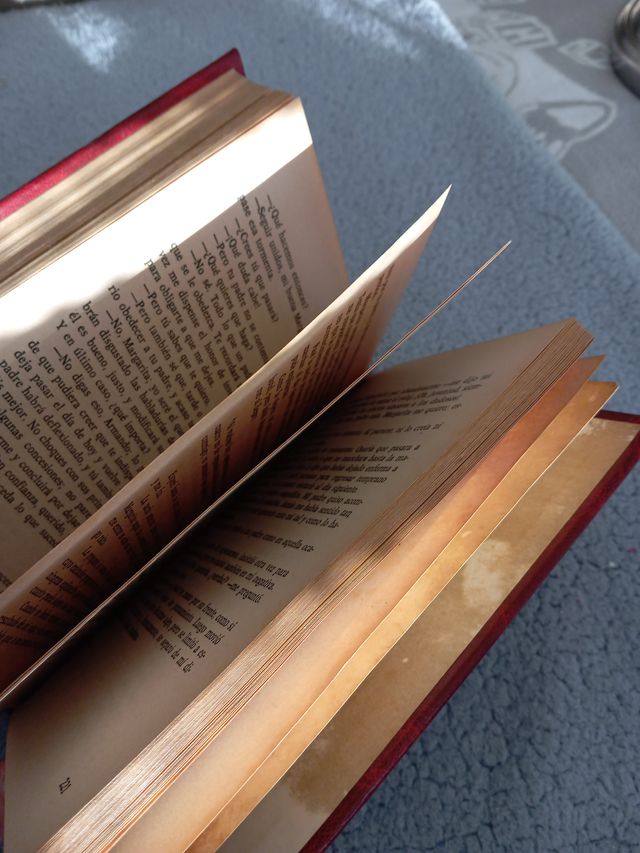 La dama de las camelias