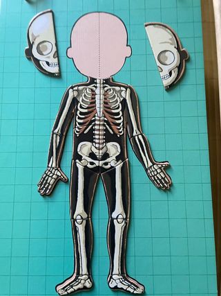 Puzzle Janod Cuerpo Humano Educativo