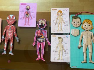 Puzzle Janod Cuerpo Humano Educativo