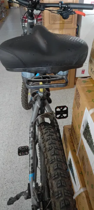 Bicicleta eléctrica Focus