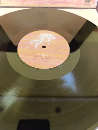 Vinilo Ortiga - Sabes el camino que elegí