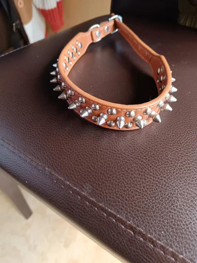 Correa para perro con tachuelas 50 cm