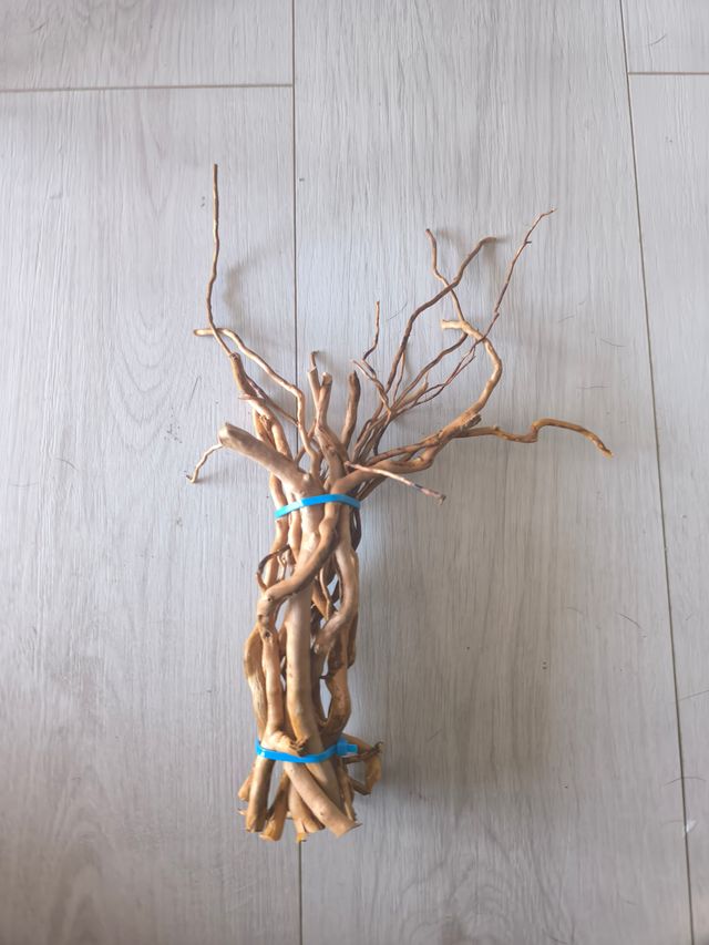 Raíces para acuario