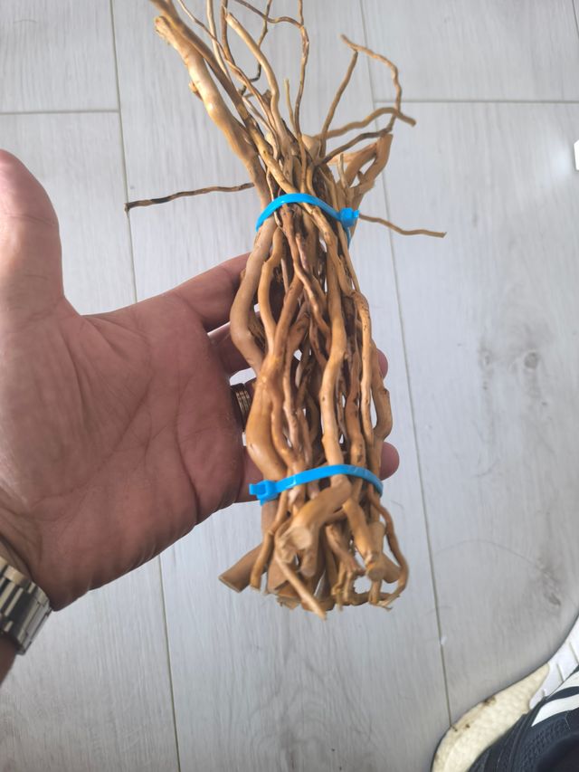 Raíces para acuario