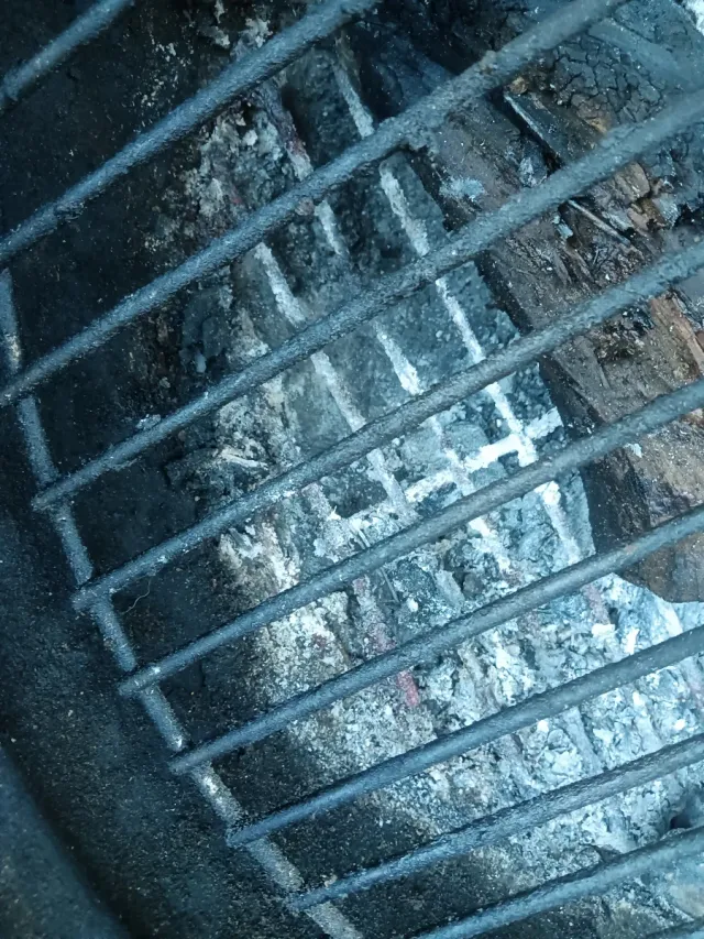 Barbacoa Portátil Negra y Plateada