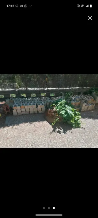 Celosía cerámica (aprox. 250 piezas)