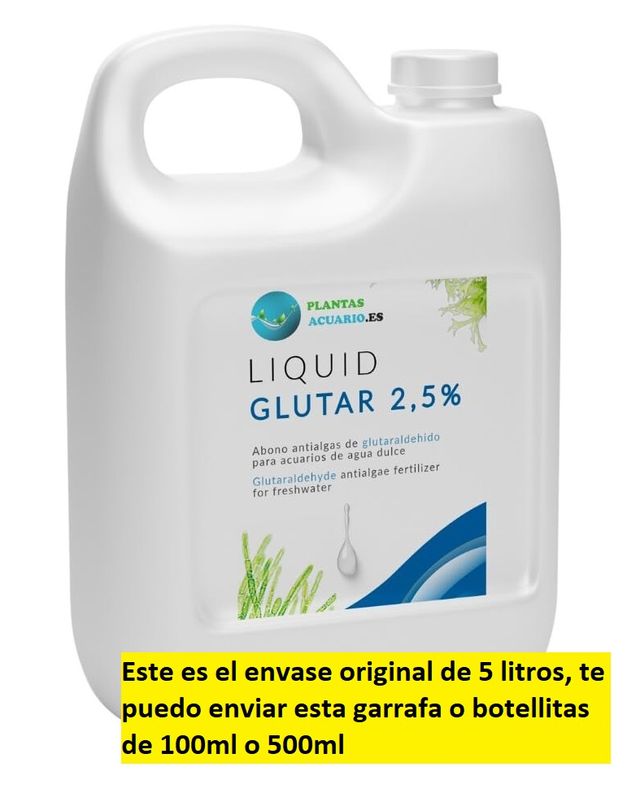 antialgas anti-algas anti algas acuario pecera