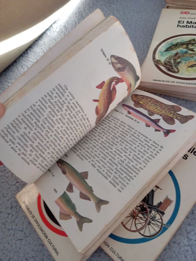 Manuales de divulgación cultural