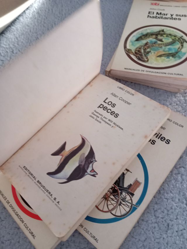 Manuales de divulgación cultural