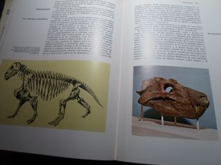 Guía Minerales Rocas Fósiles Aguilar