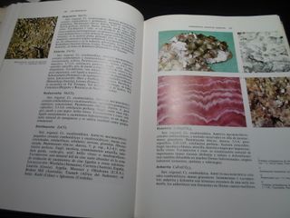 Guía Minerales Rocas Fósiles Aguilar