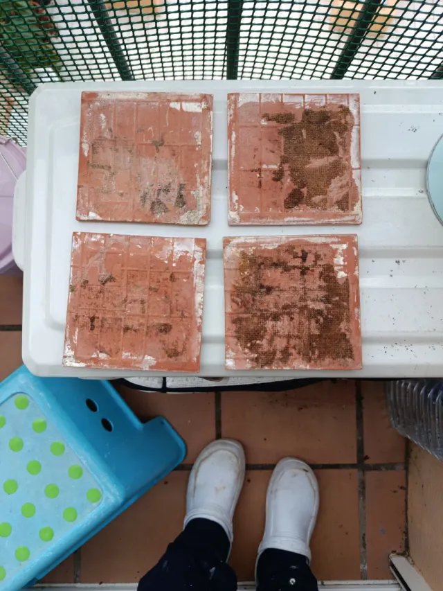 Baldosas antiguas Sardana