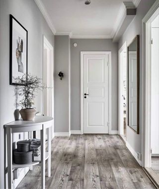 Pintor profesional con experiencia