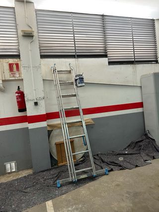 Pintor profesional con experiencia