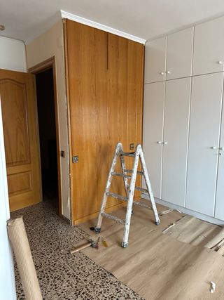 Pintor profesional con experiencia