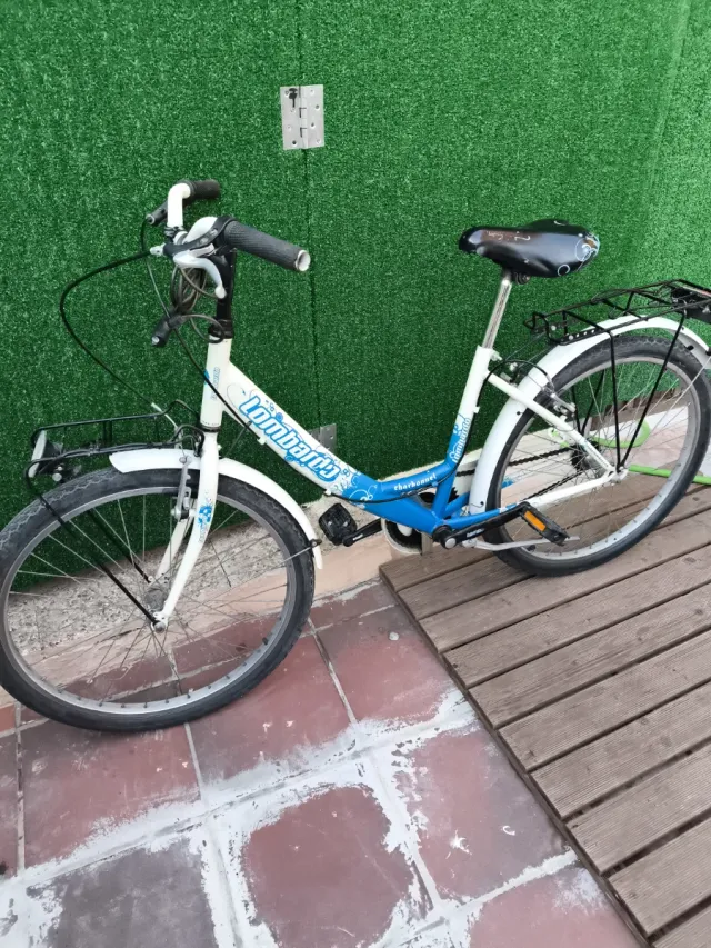 Bicicleta de paseo mediana