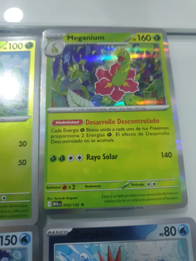 6 Cartas Pokémon: Kyogre, Clawitzer, Ninjask