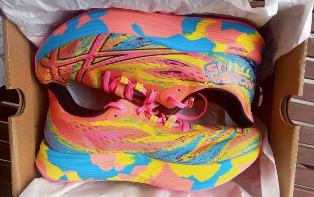 Zapatillas Asics Noosa Tri 15