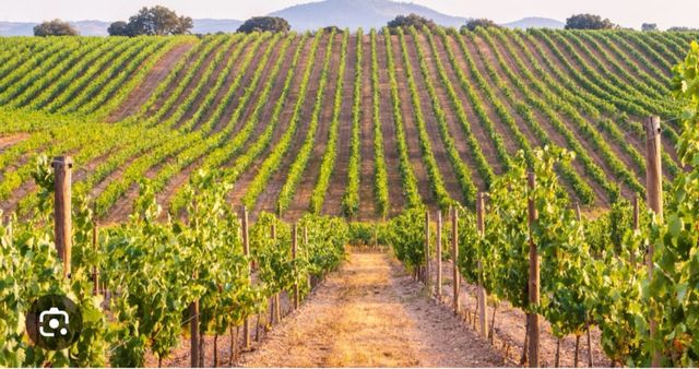 busco para podar y atar tengo makinas propias