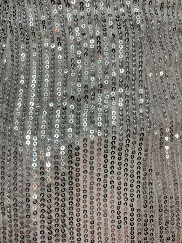 Falda Lentejuelas Plata Talla XXI 