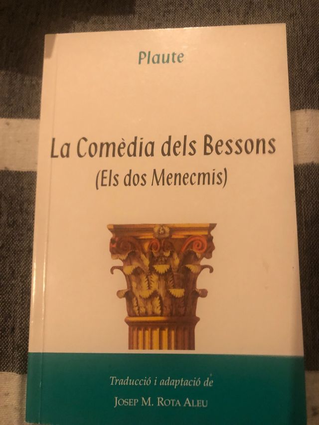 La Comèdia Dels Bessons