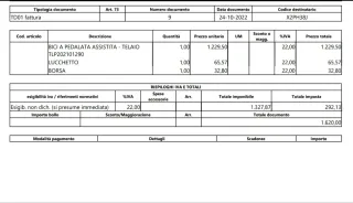 Bici elettrica yes baik