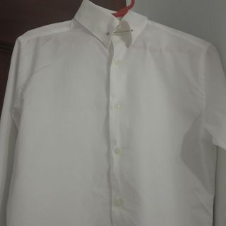 Camisa Zara Slim Fit Talla S Rayas Finas