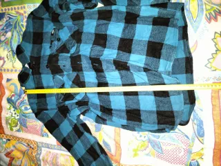 Camisa Dickies cuadros azul y negro