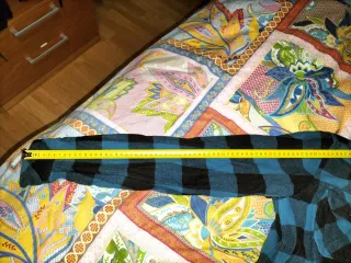 Camisa Dickies cuadros azul y negro