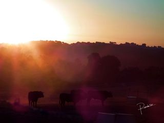 Cámara Fujifilm HS10