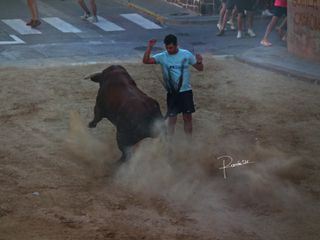 Cámara Fujifilm HS10